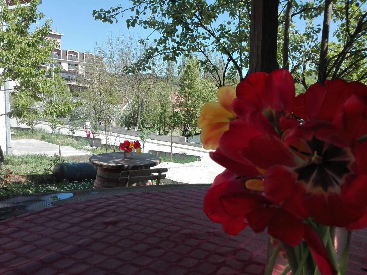 Jankovic Apartment *