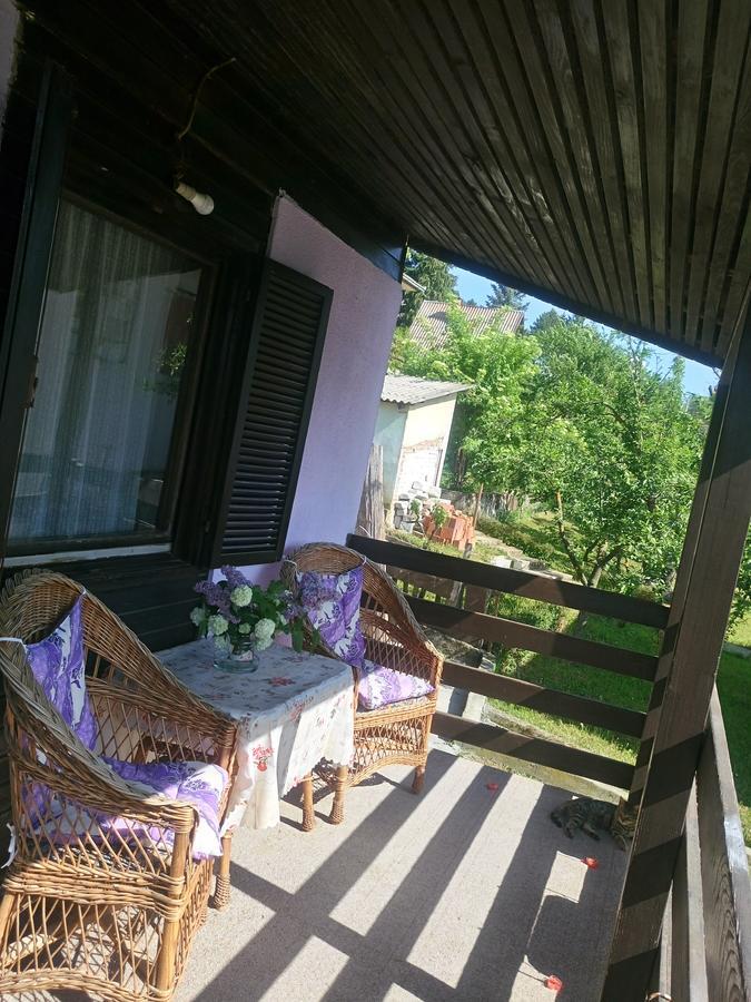 Apartment Jankovic Vrdnik